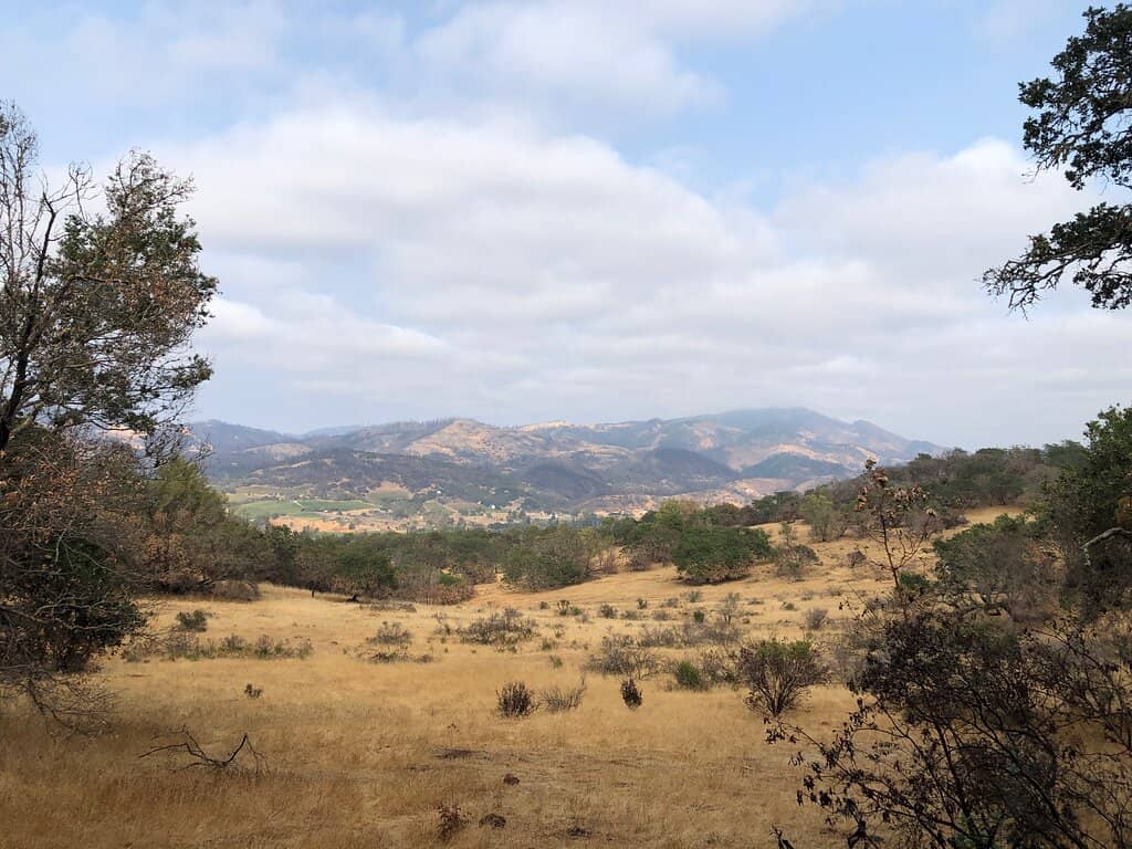 Mountain Biking Trails