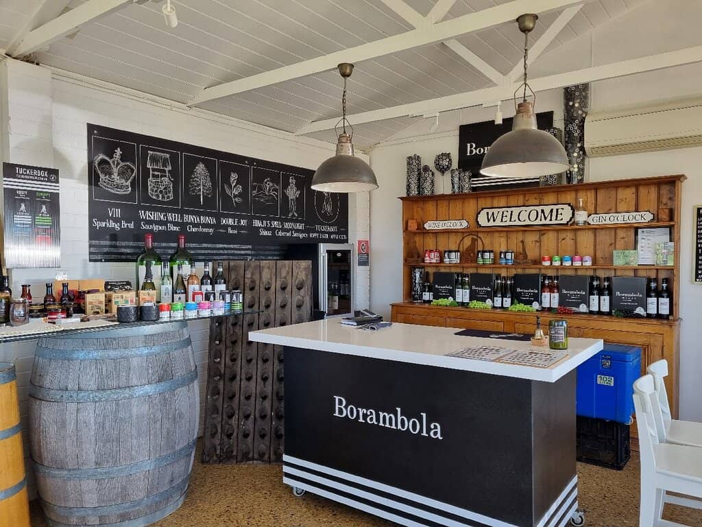 Taco the Springer Spaniel