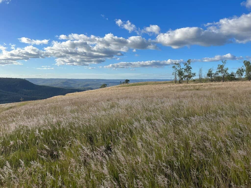 Panoramic Summit Views