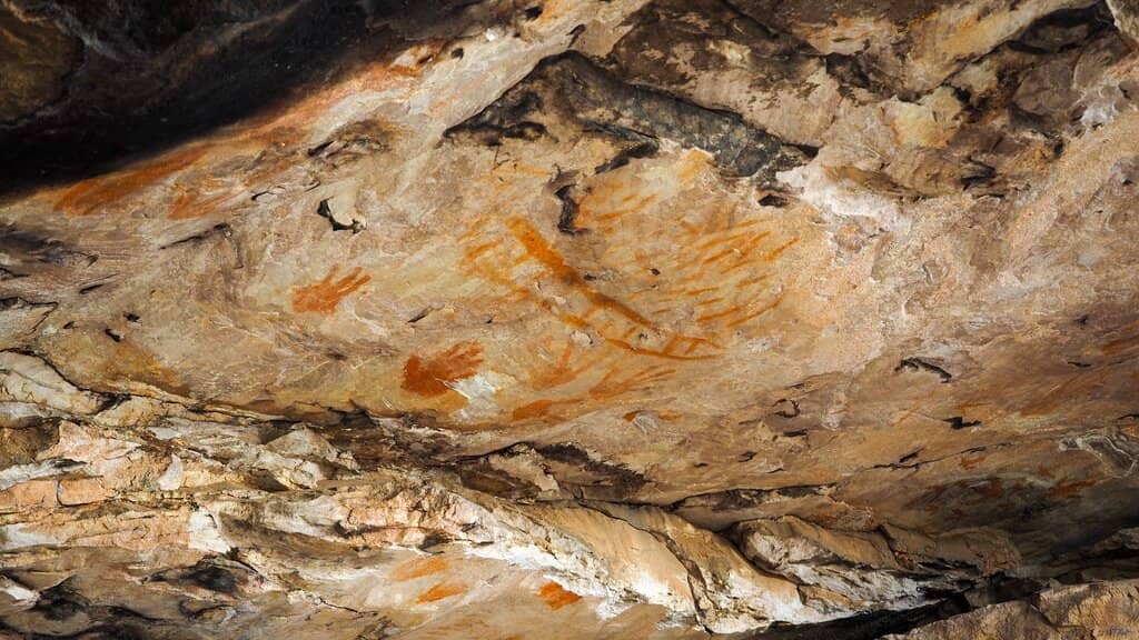 Emu Footprints Art