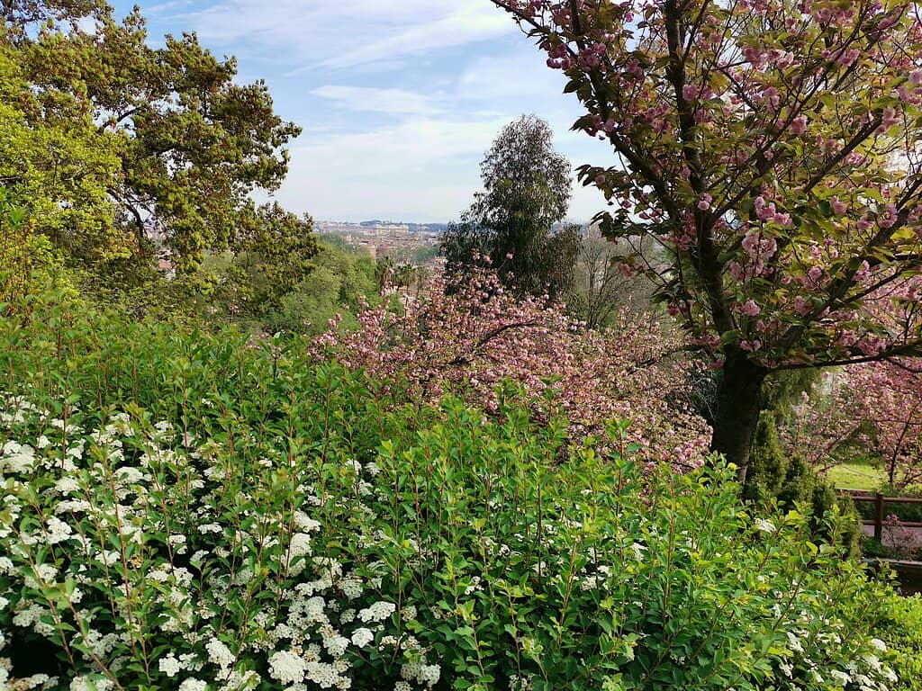 Trame di Luce