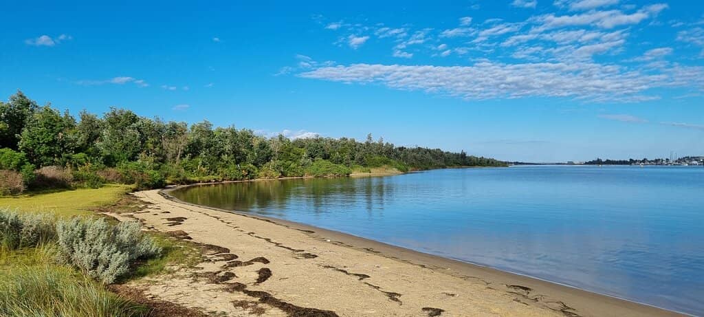 Shell Collecting Paradise