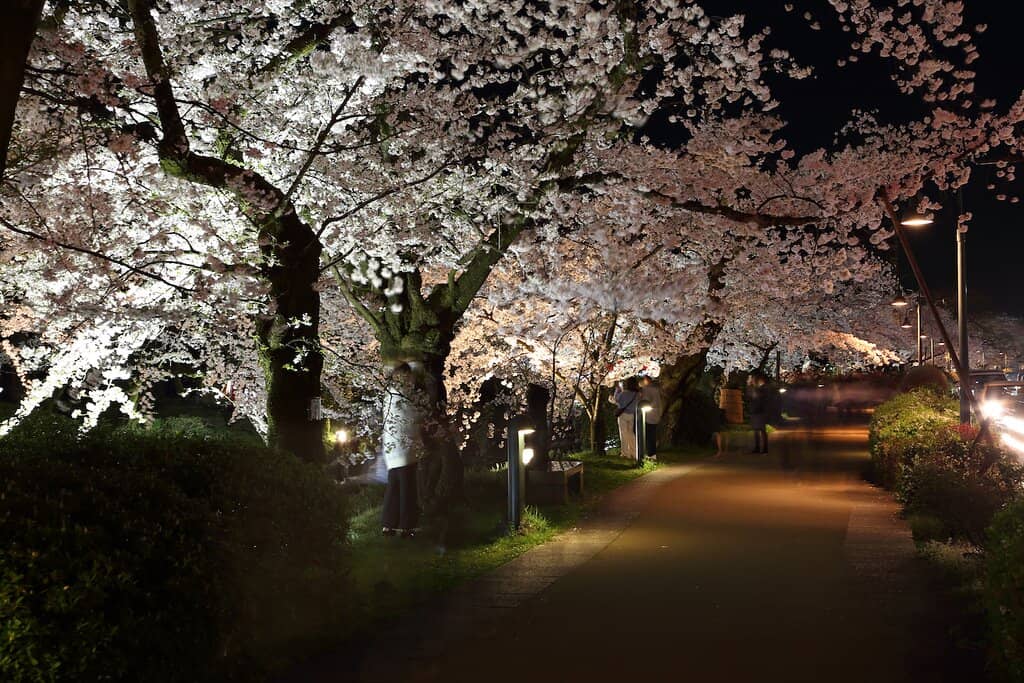 Toyama Castle Park
