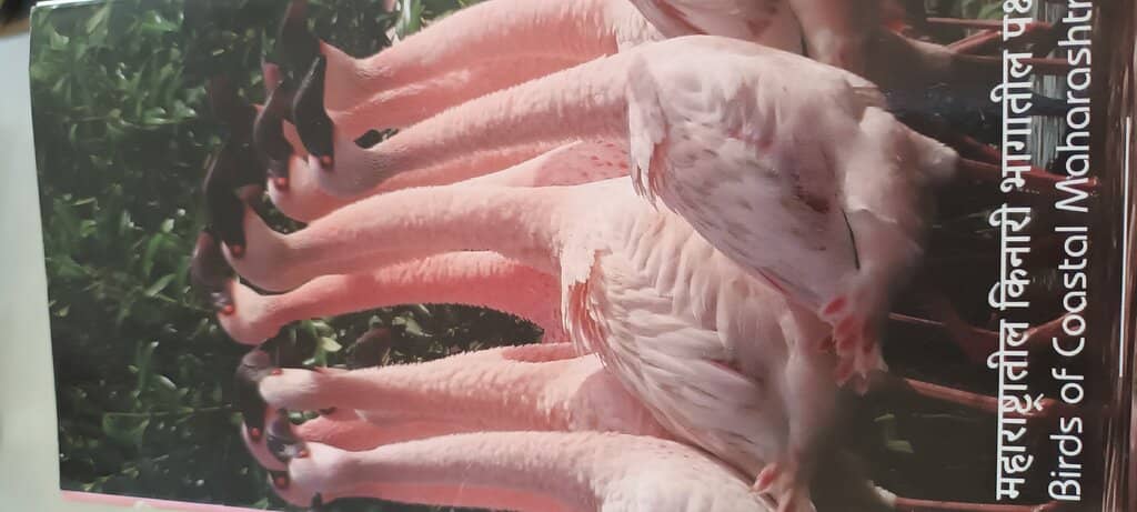 Biodiversity Museum