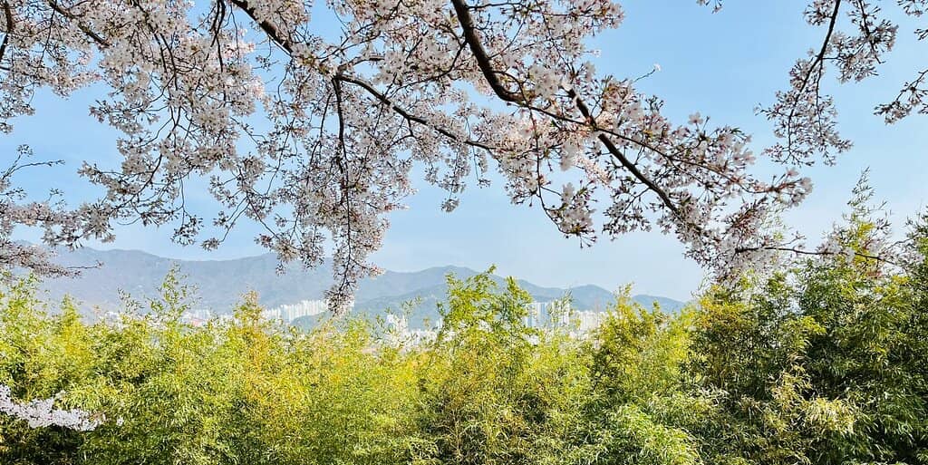 Riverside Walking & Biking Paths
