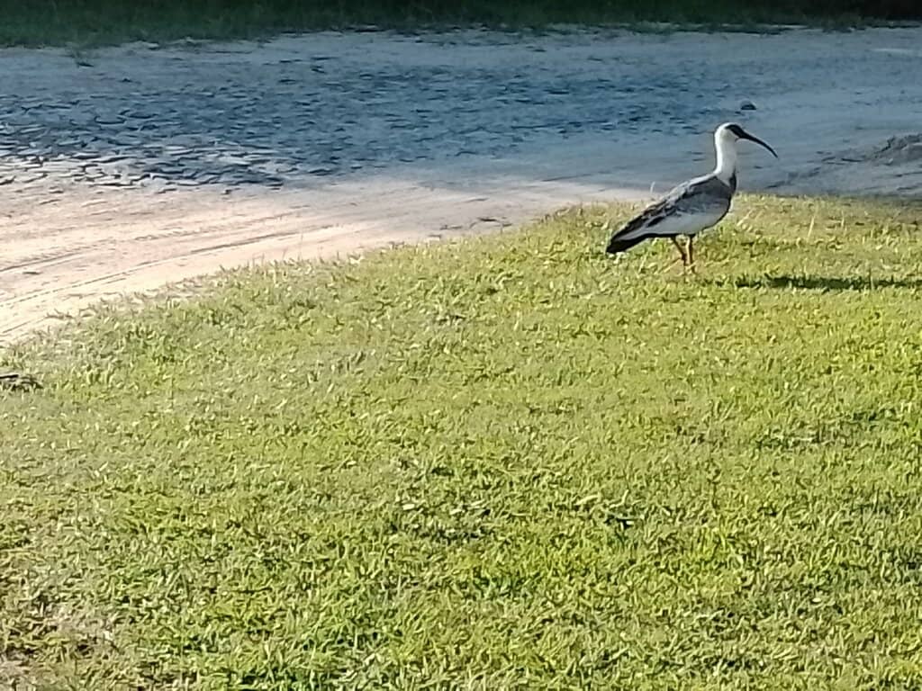 Praia de Itapirubá Norte