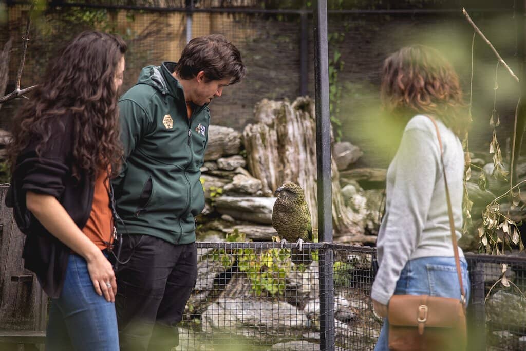 Conservation Shows