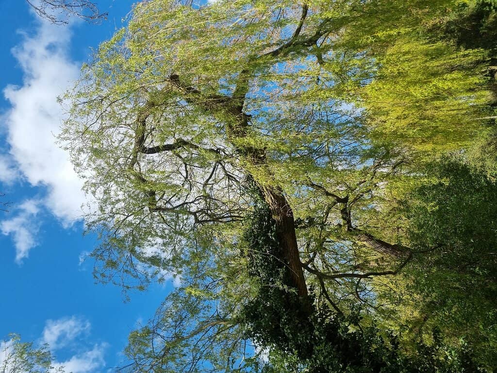Vertical photo