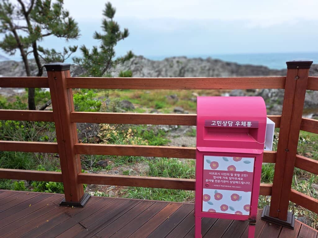 Tranquil Nature Walk