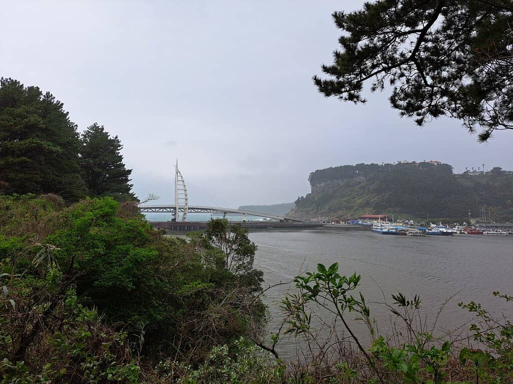 Scenic Boardwalk Trail