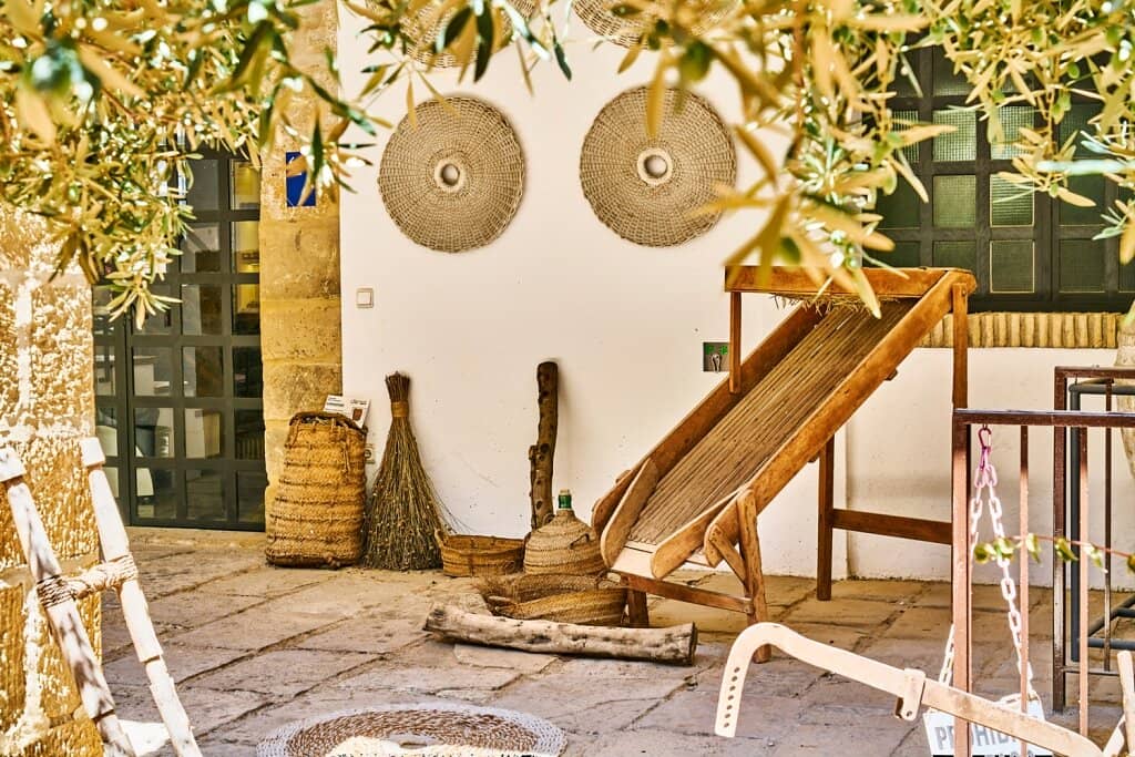 The Olive Industry Explained