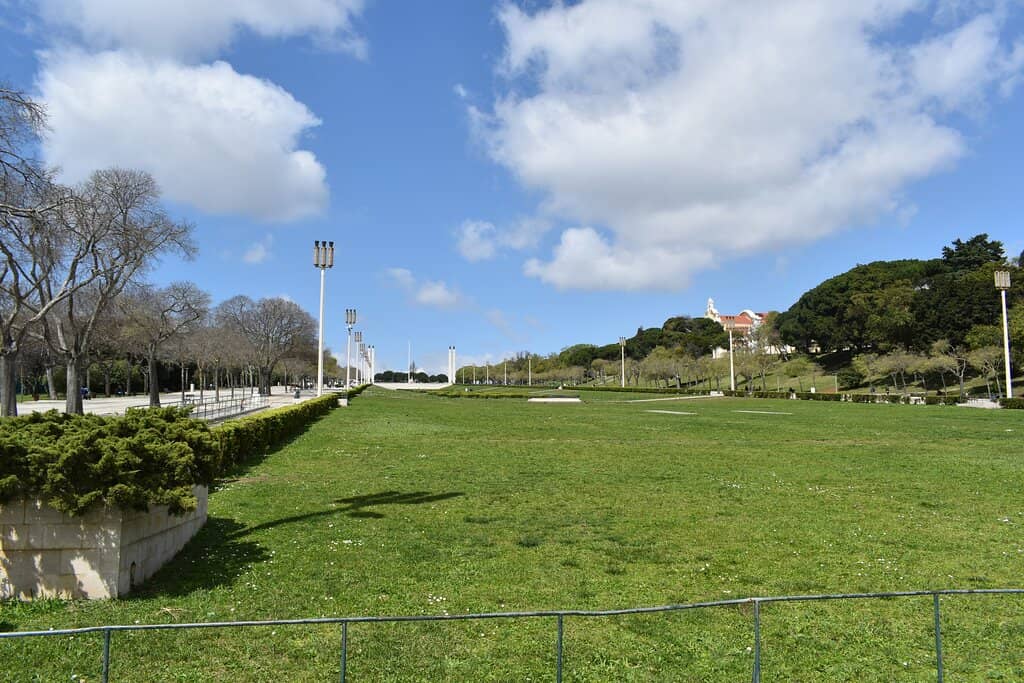 Sports Courts & Fields