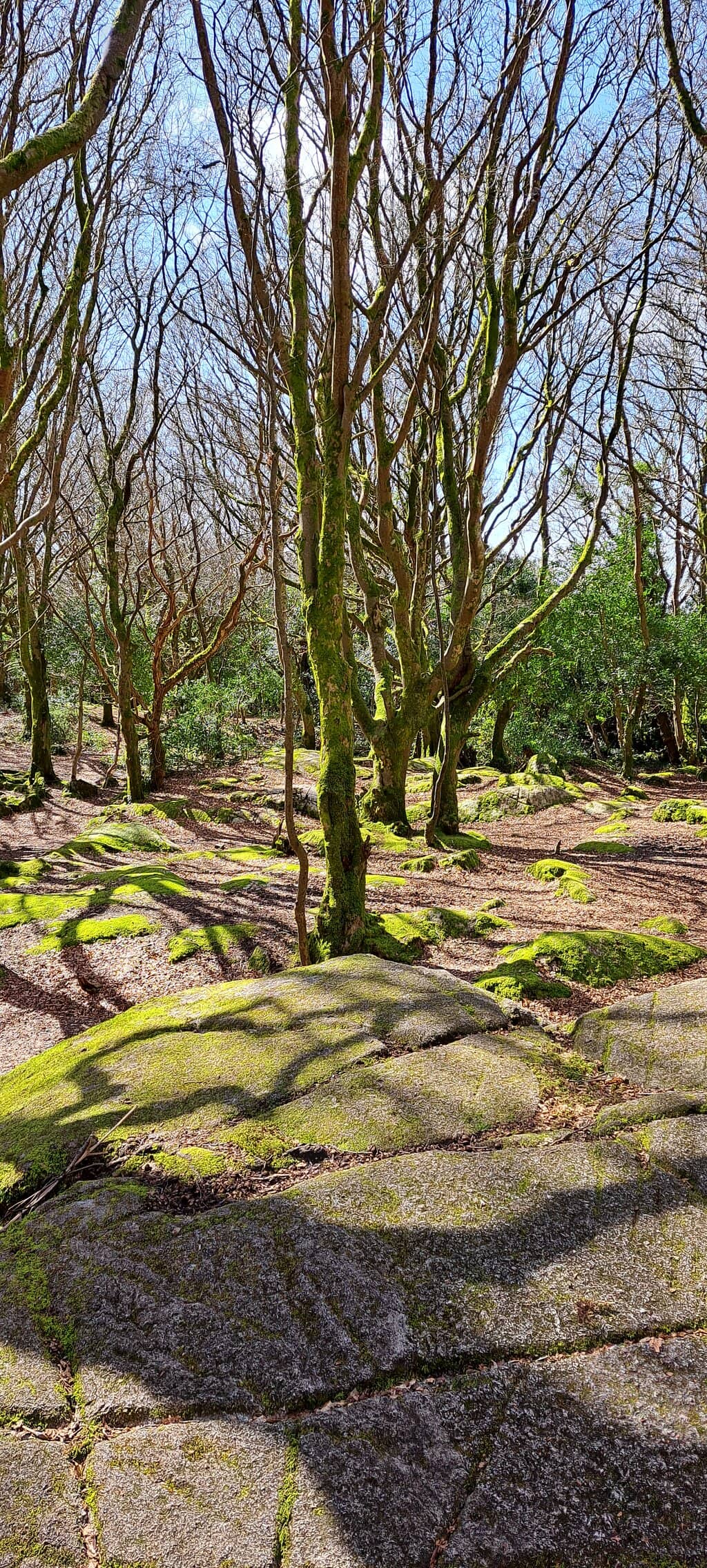 Storm-Resilient Art Installations