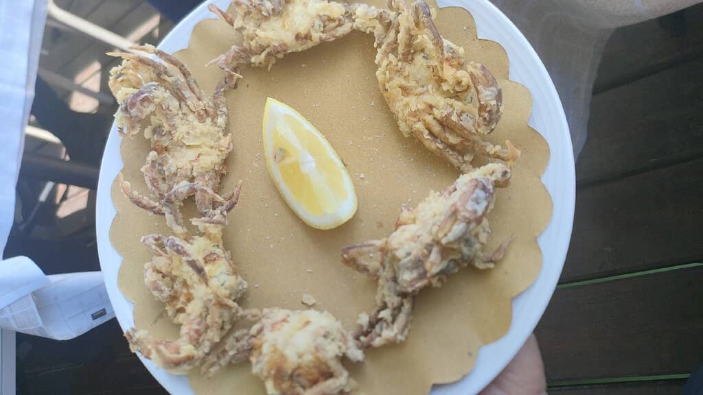 Vegan Pizza & Music Events