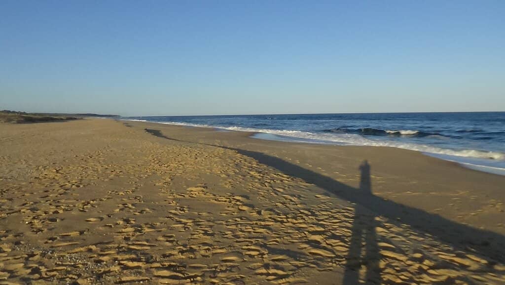Scenic Loop Walk