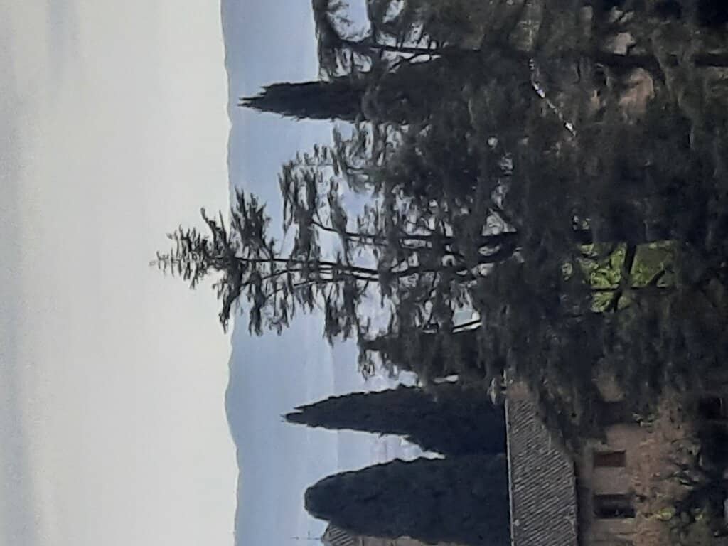 Vertical photo