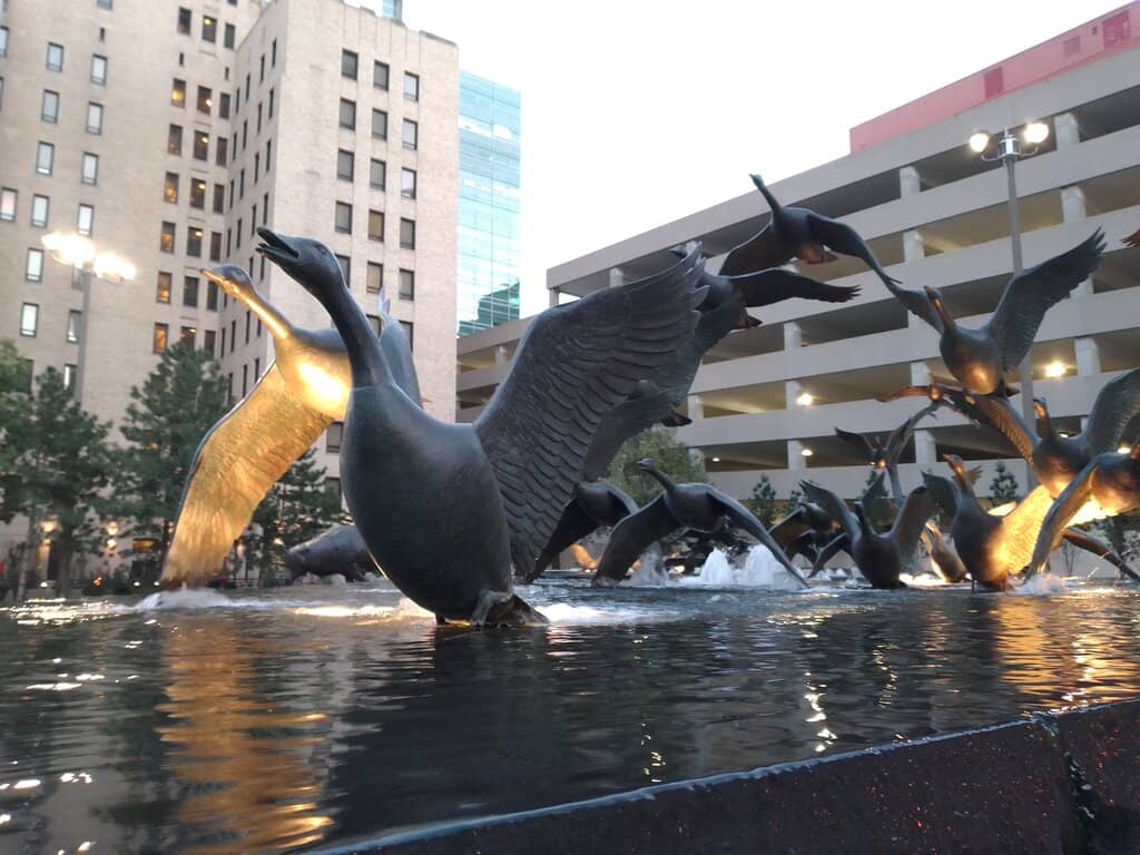 Geese in Flight