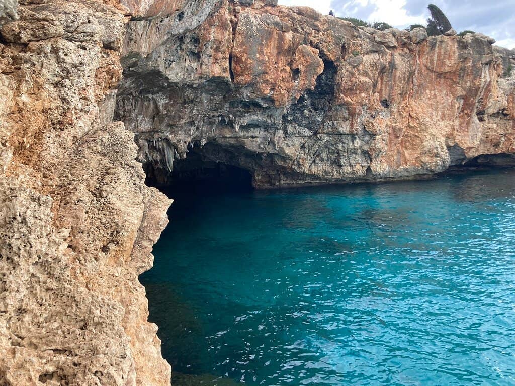Vertical photo