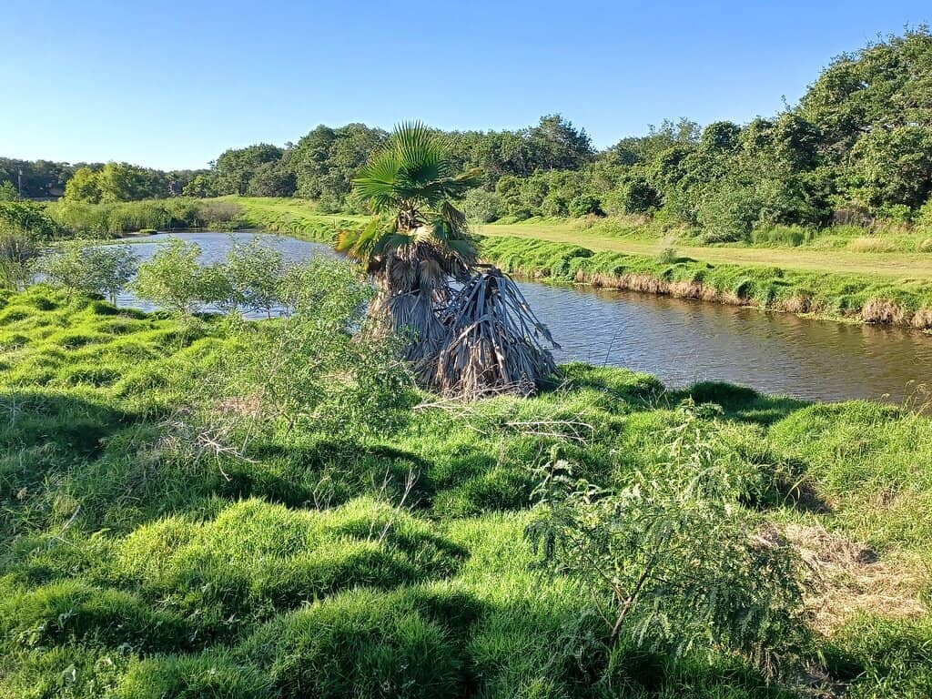 Live Oak Trail Extension