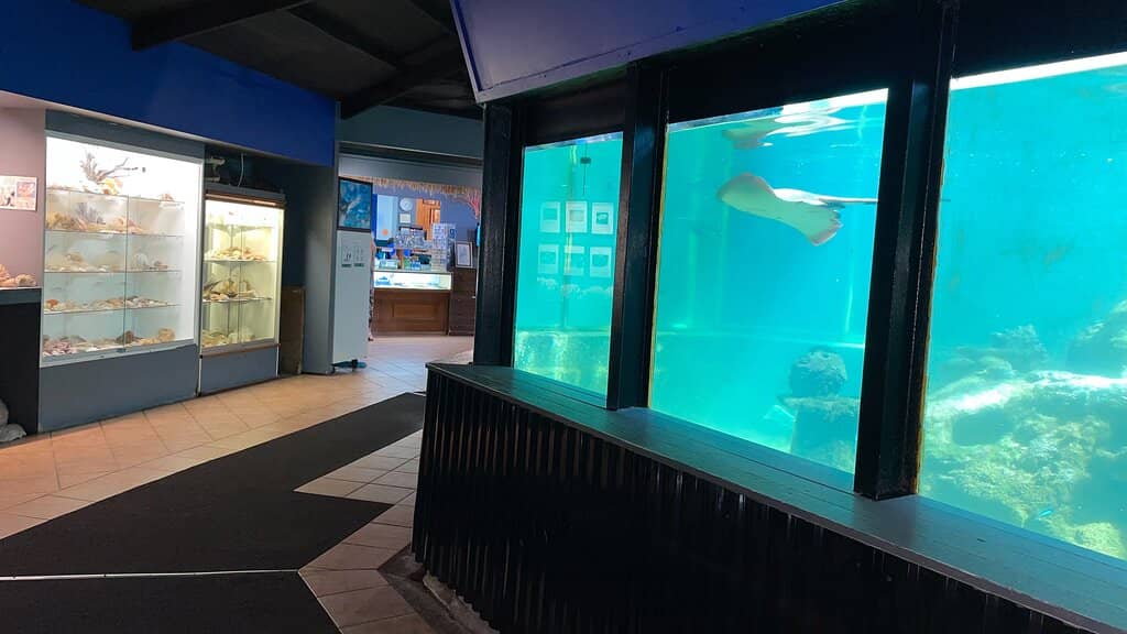 Crystal Clear Tanks