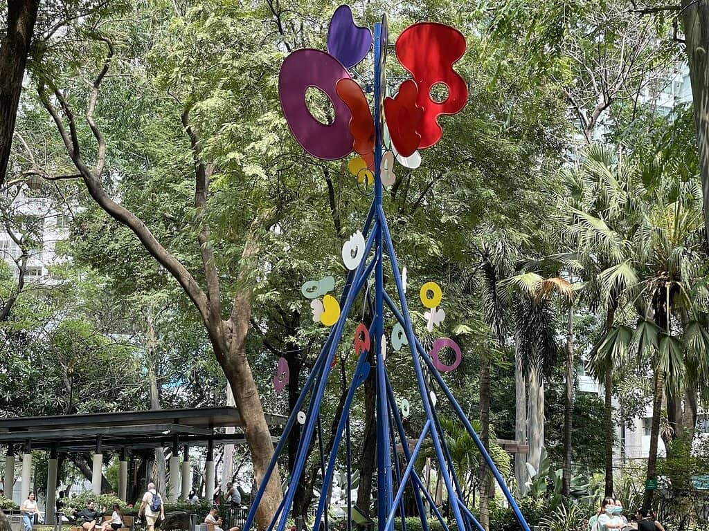 Rainbow Eucalyptus Trees
