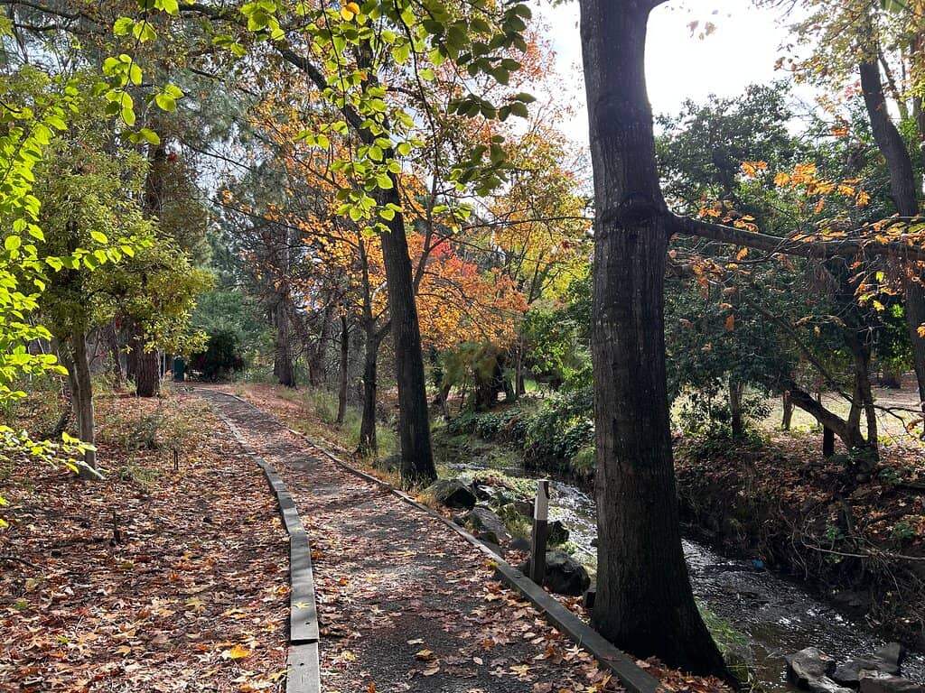 Serene Walking Trails