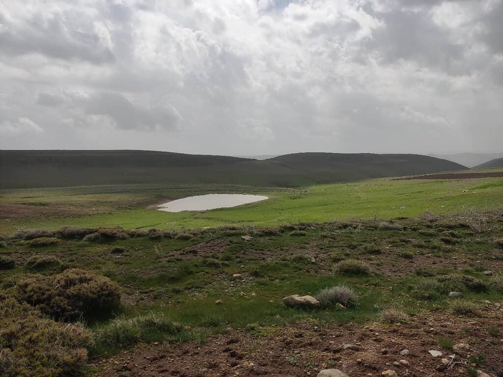 Sahand Meadows