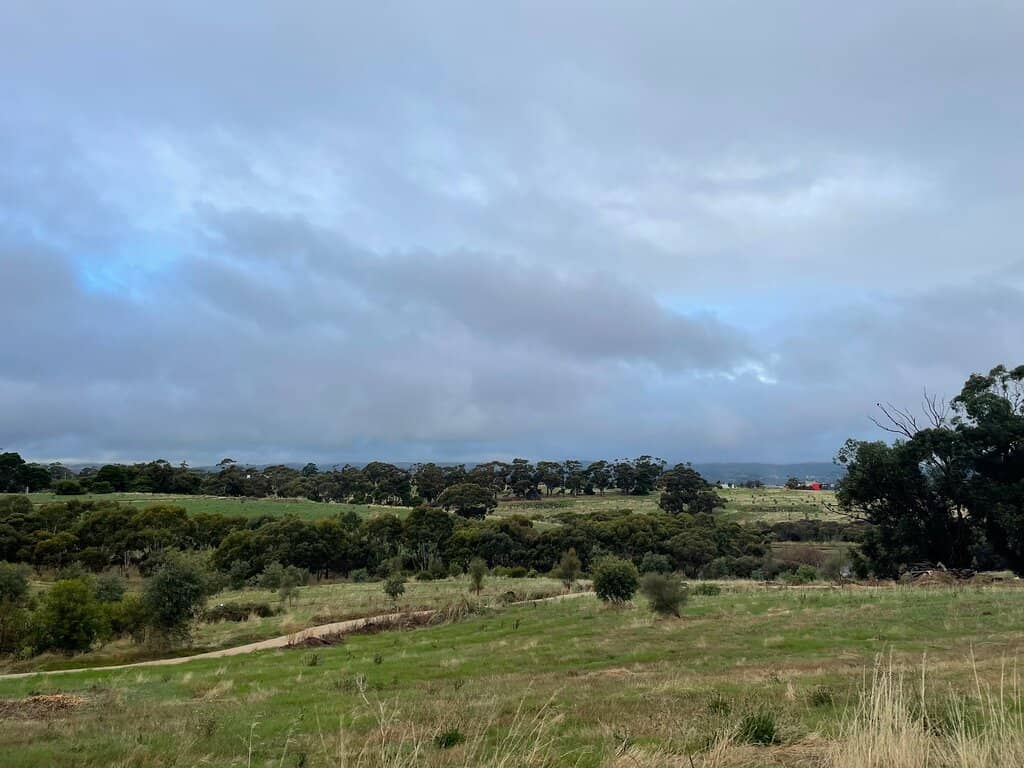 Restored Natural Landscapes