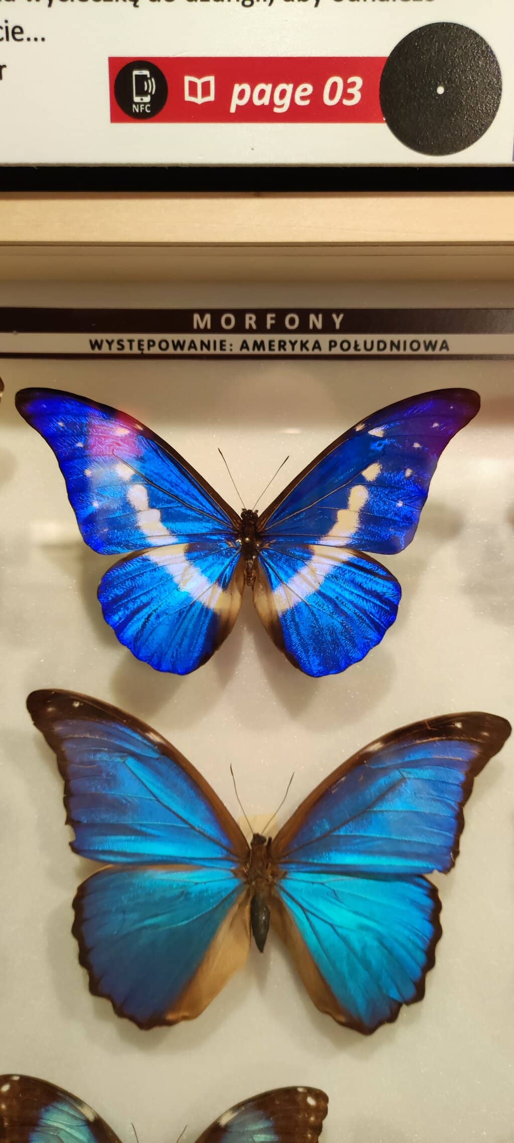 Interactive Exhibits