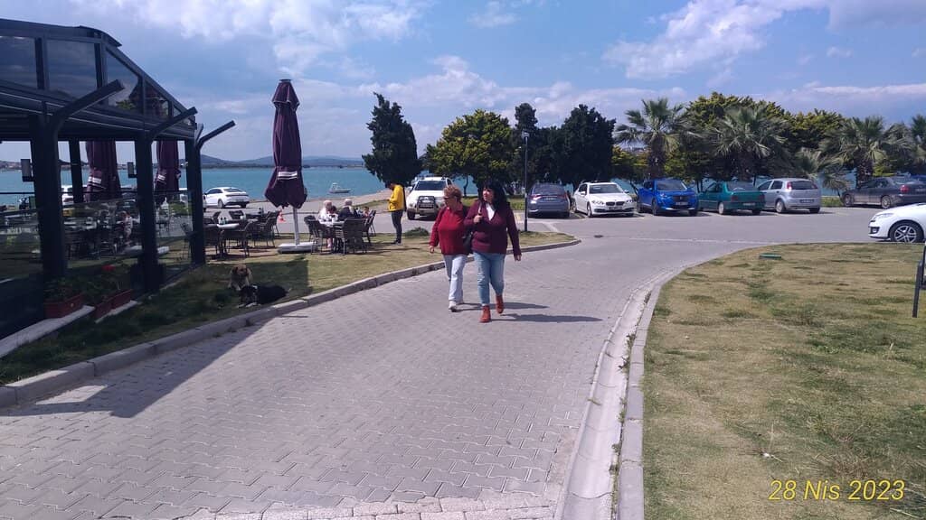 Diverse Dining Options