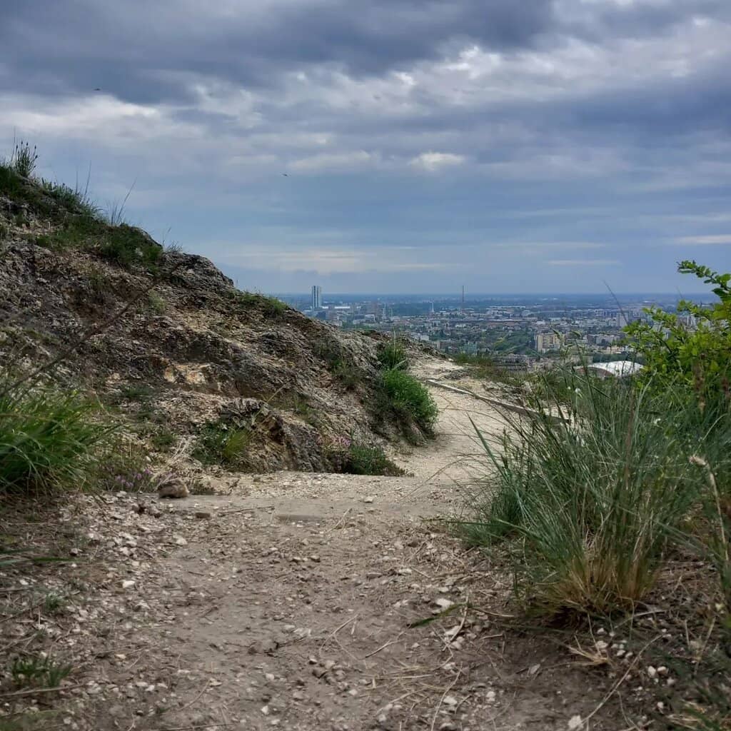 Guided Nature Walks
