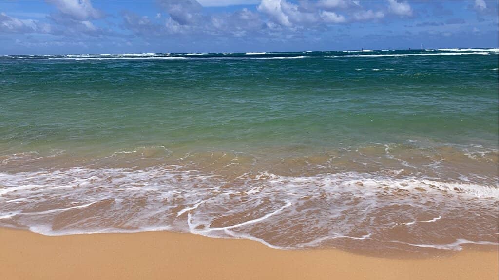 Soft Golden Sands