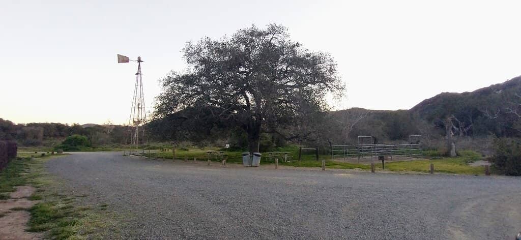 Rainbow Trout Fishing
