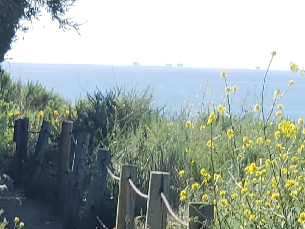 Spectacular Coastal Scenery