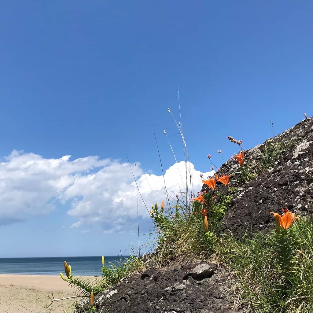Coastal Breezes & Views