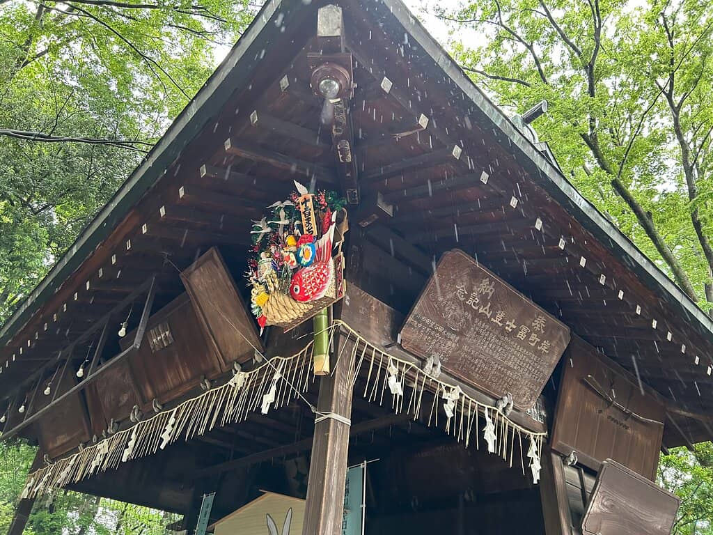 Vertical photo