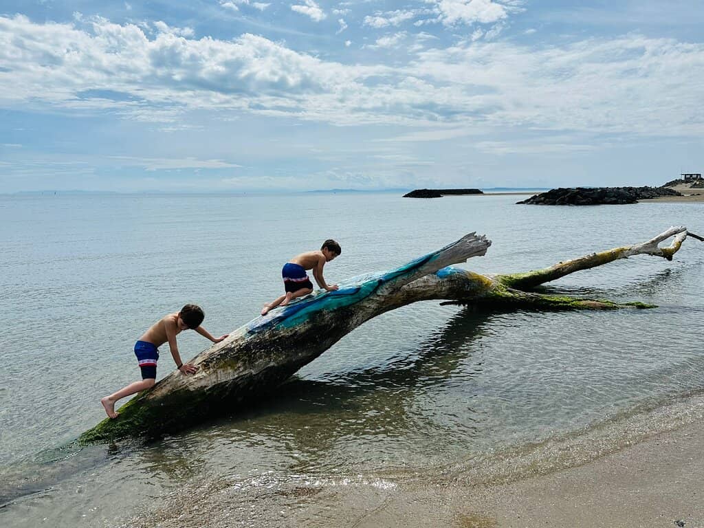 Gentle Sloping Shoreline