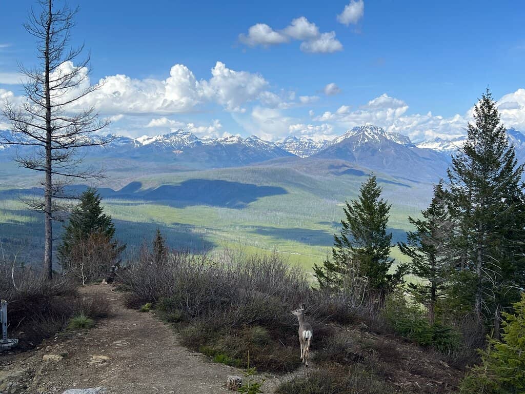 Panoramic Lake McDonald Views