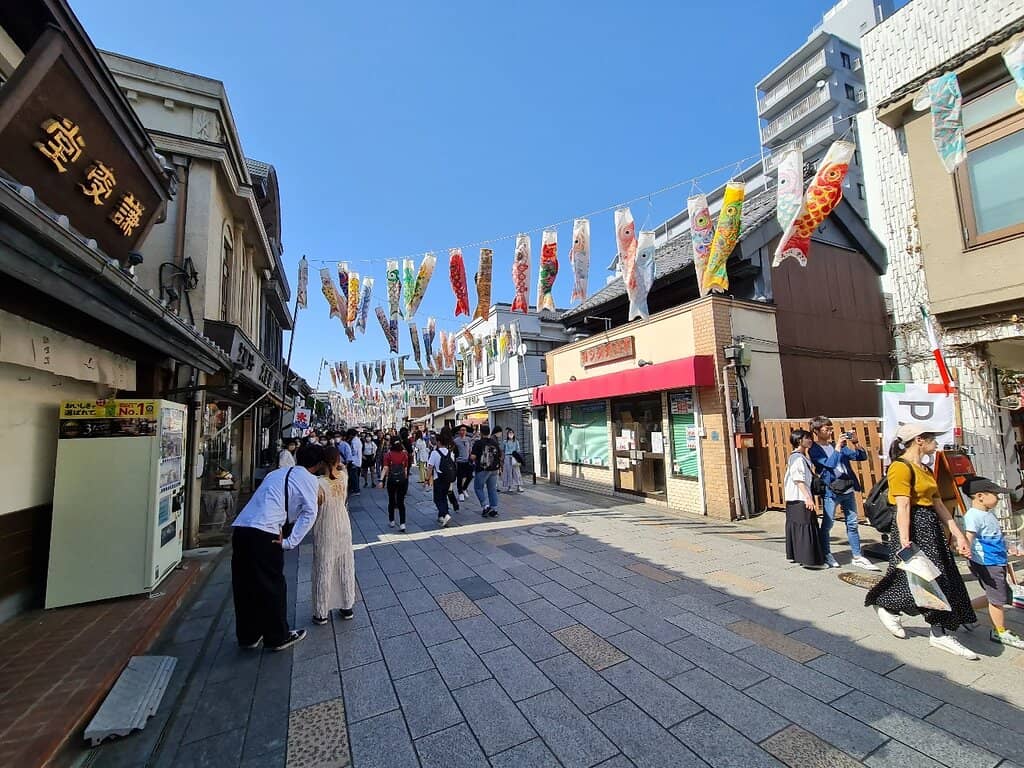 Pedestrian Shopping Paradise