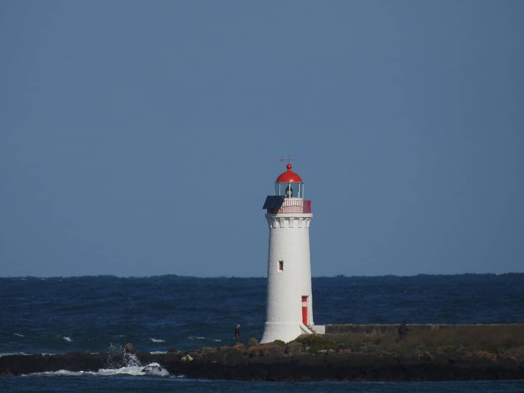 Whale Watching Opportunities