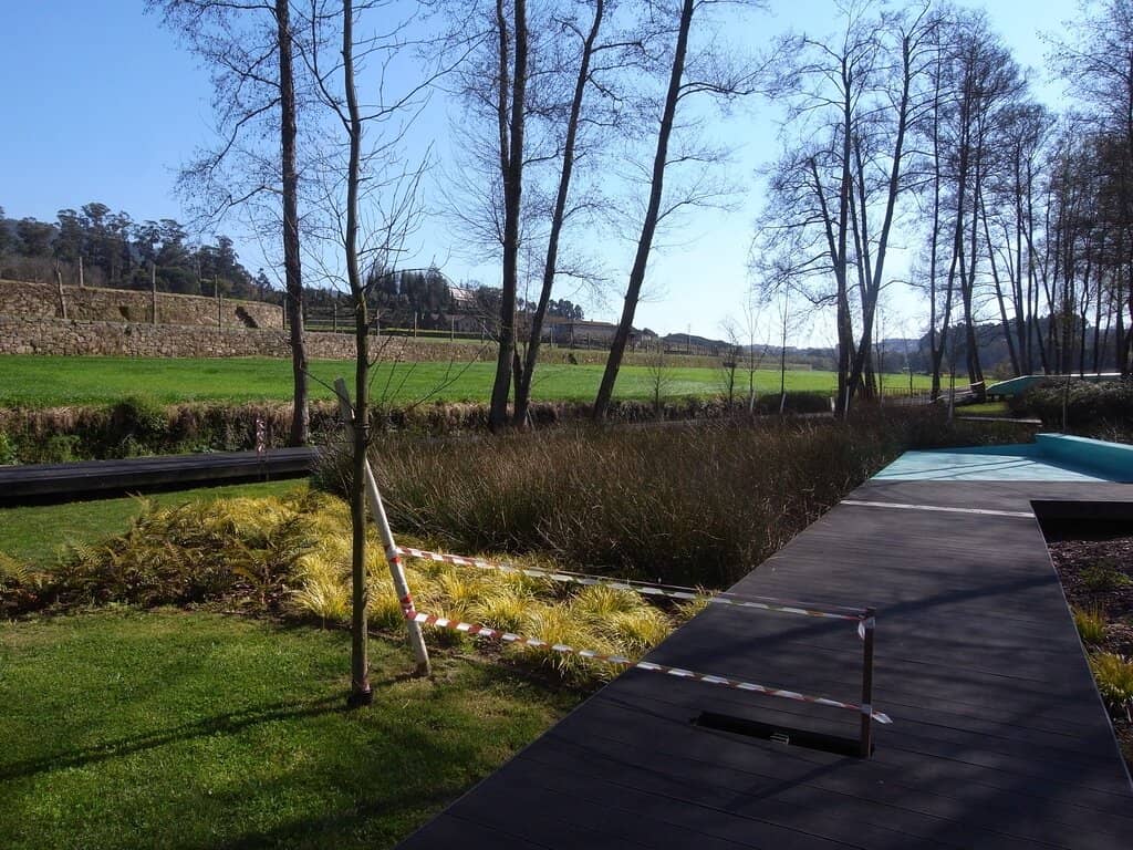 Tranquil Walking Paths