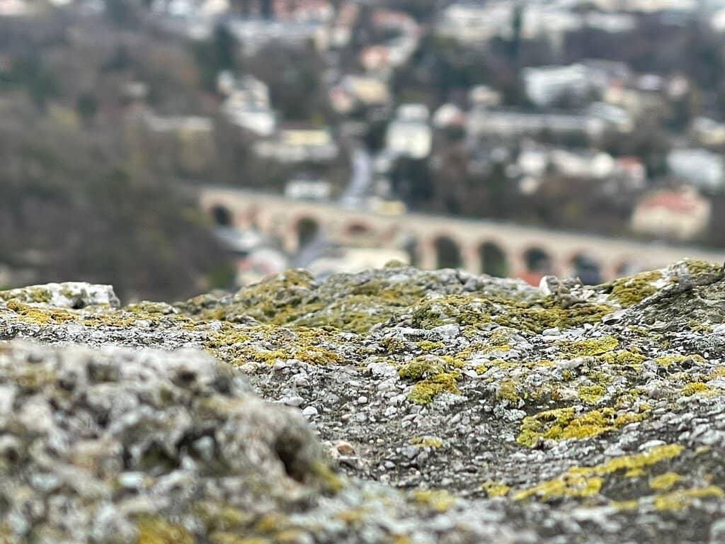 Medieval Architecture