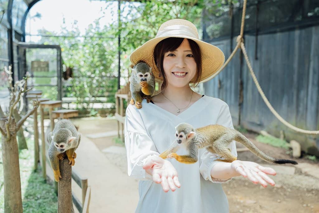 Bird Show