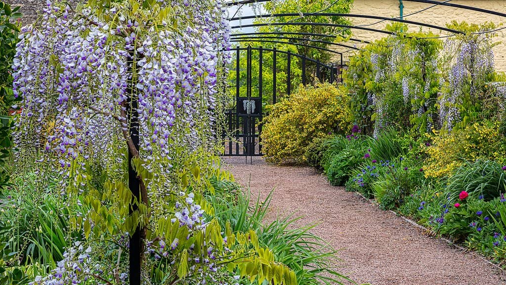 Upper Walled Garden