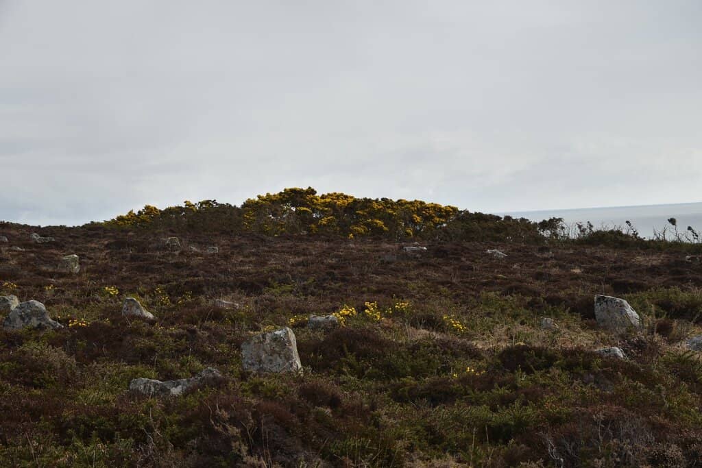 Neolithic History