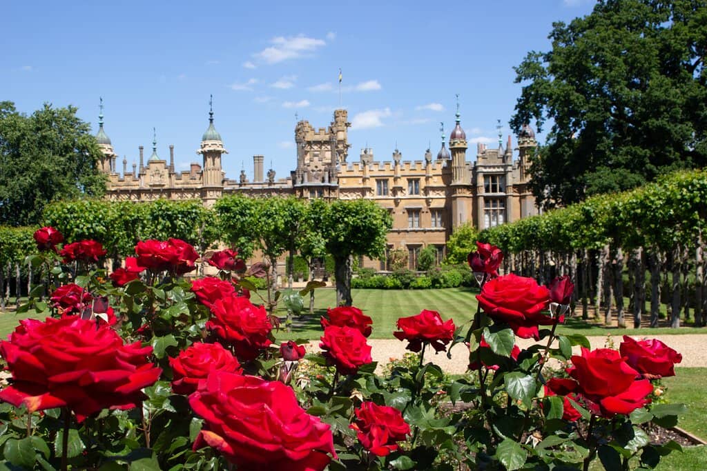 Expansive Gardens