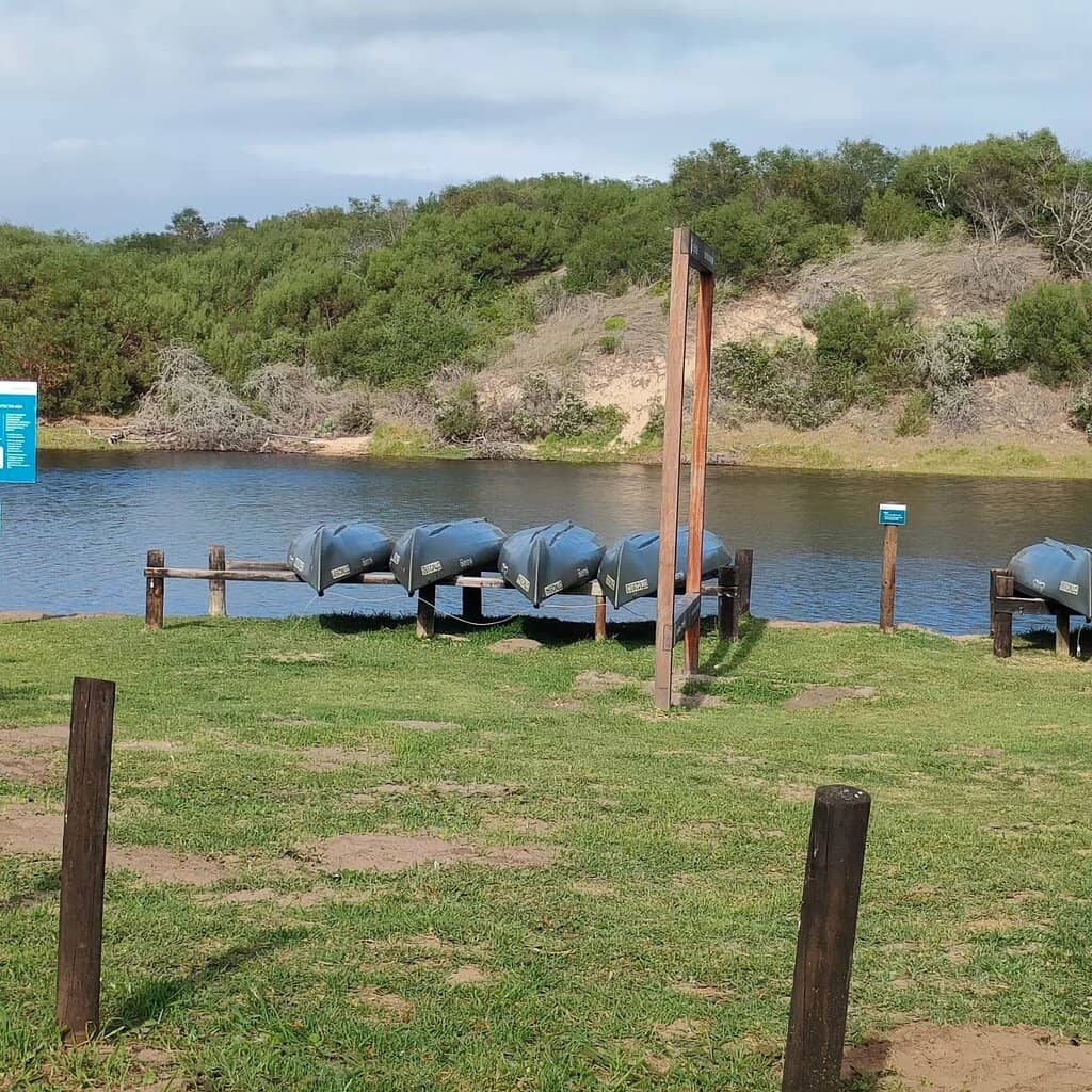 Coastal Dunes and Beaches