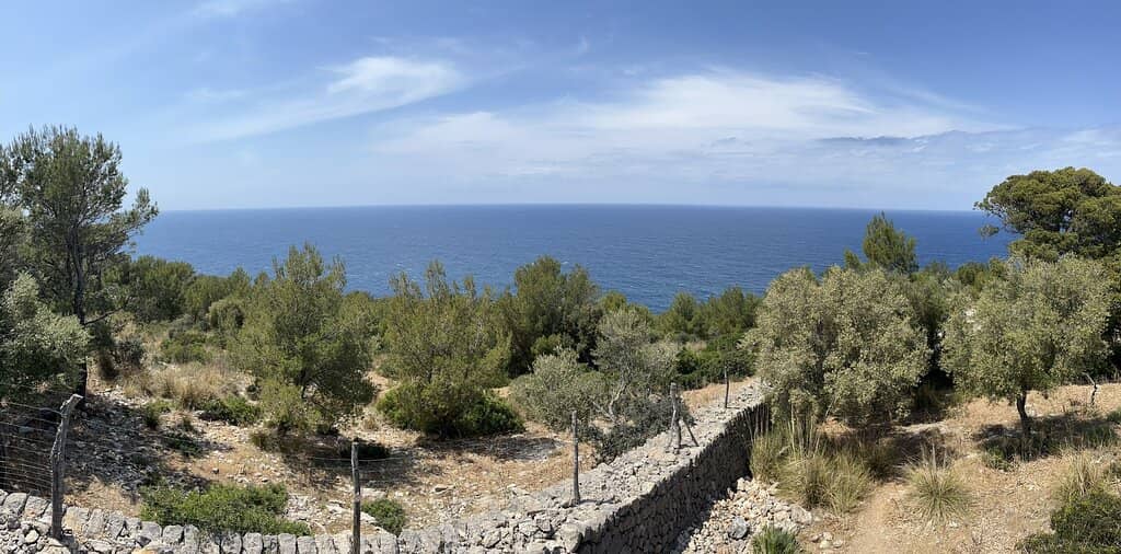 Panoramic Coastal Scenery