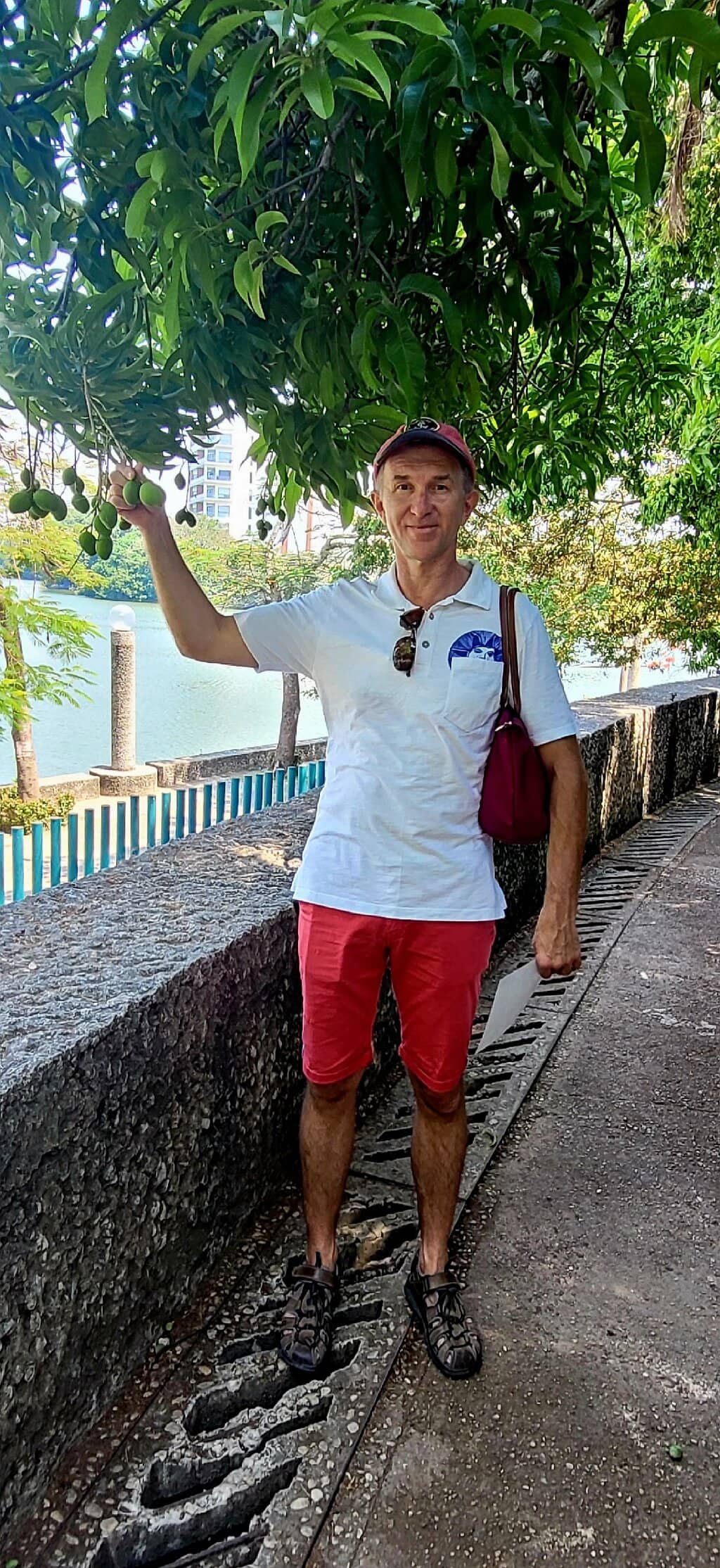 Mirador de las Águilas