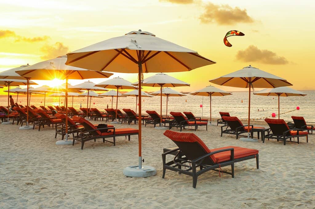 Pet-Friendly Swimming Zone